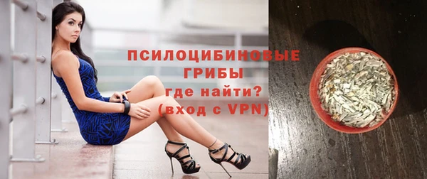 мяу мяу мука Баксан