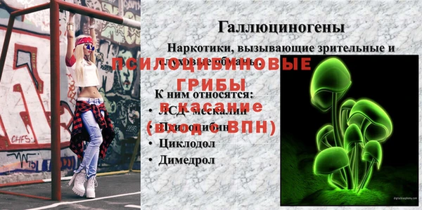 мяу мяу мука Баксан