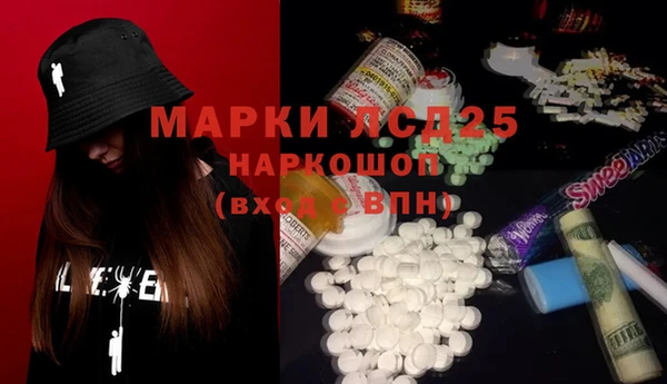 мяу мяу мука Баксан