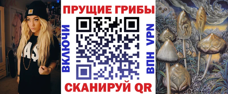 Псилоцибиновые грибы GOLDEN TEACHER  как найти наркотики  это клад  Куйбышев 